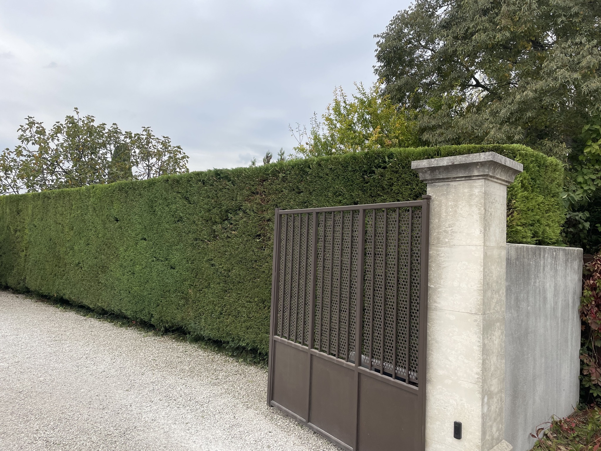 Taille de haie nette devant portail à Châteaurenard
